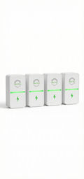 Electra Smart Saver- Bundle pack